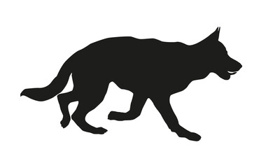 Running german shepherd dog puppy. Black dog silhouette. Isolated on a white background.