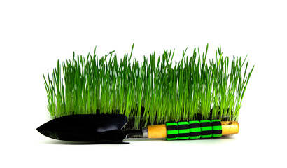black shovel with green handle near a dish with planted grass on an isolated white background.