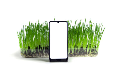 Smartphone with white screen stands on stand in front of green grass on isolated light background.