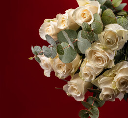 Fresh gorgeous flowers with drops of water and branches of the eucalyptus tree on a red background.