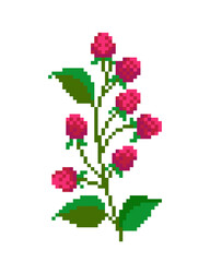 raspberry flower pixel image. cross stitch pattern vector illustration.
