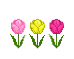 pixel image of a tulip flower. cross stitch pattern vector illustration.