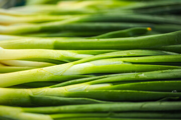 Fresh green spring onions on the farmers market. Selective focus