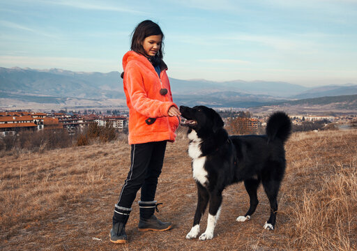Girl and dog walk on the mountain