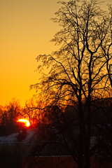 Sunrise over the winter forest in the suburbs.