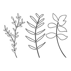 Leaves and plants hand drawn flat illustration. Botanical design elements. Vector sketch clip art set.
