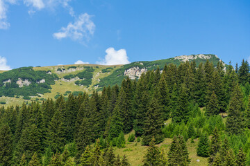 View from Bucegi mountains, Romania, Bucegi National Park