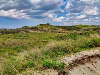 sand dunes on the beach