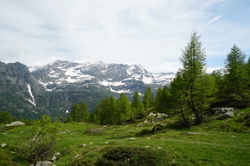 Fototapeta na wymiar ceresole reale, italia, mountain, snow, spring