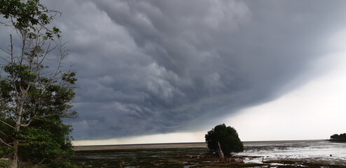 walking in the strom
