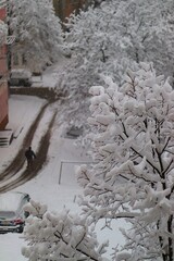 Sofia, Bulgaria, person walking on street covered with fresh snow in urban area , view from high ground