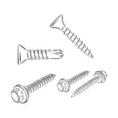 screw vector sketch illustration. Screw vector sketch icon isolated on background. Hand drawn Screw icon. Screw sketch icon for infographic, website or app.