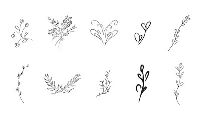 Doodle simple vector collection of 10 hand-drawn floral elements. Big collection of 10 hand-drawn branches. Big floral botanical set. Isolated on white background.