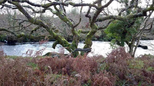 The wild and beautiful landscape next to the Owenea River by Ardara - County Donegal, Ireland
