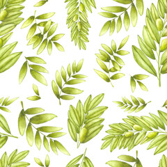 Watercolor seamless pattern with olive branches and leaves. Hand drawn branches of olives tree isolated on white background. Cute pattern design for home textile, decor, wedding decor, invitations.