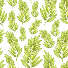 Watercolour seamless pattern with olive branches. Hand drawn branches of olives tree isolated on white background. Cute pattern design for home textile, decor, wedding decor, invitations.