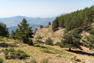 Mountainous area in Sierra Nevada in southern Spain