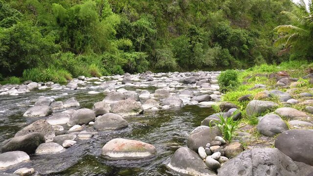 Rivière naturelle de Bras Canot &agrave; l'&icirc;le de La R&eacute;union montrant des galets de pierre et de l'eau douce des montagnes. La v&eacute;g&eacute;tation autour de la rivi&egrave;re est tropicale et l'eau de la rivi&egrave;re est claire