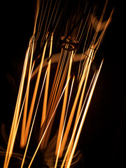 close up macro retro bulb details. tungsten filament. strings of lamp