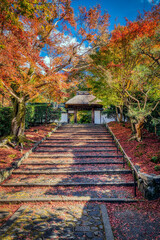 Fototapeta na wymiar Stairway to the main gate at Anrakuji temple, Kyoto, Japan, in the peak period of autumn colors.