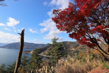奥琵琶湖パークウェイ　紅葉