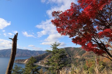 奥琵琶湖パークウェイ　紅葉