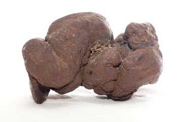 pseudocoprolite, fossilized poop