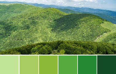 Green panoramic natural scenery. Beautiful mountain landscape in contrast light and dark green...