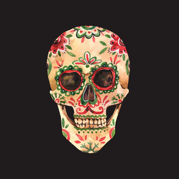 Watercolor sugar skull on white background