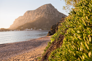 Plantation and golden rocks