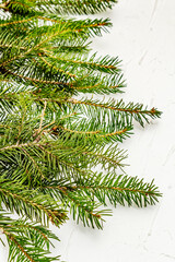 Border of Christmas tree branches on white putty background