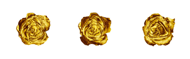 Golden rose flowers set white background isolated closeup, three gold roses, shiny yellow metal...