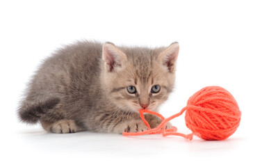 Fototapeta na wymiar Little kitten playing with a ball of yarn.