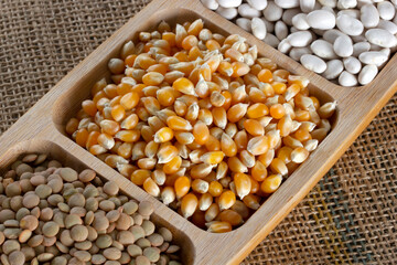 Healthy foods. White beans, dried corn and green lentils in the plate.