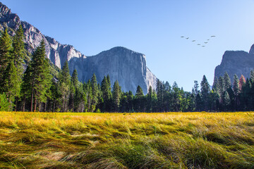 Yosemite Valley. The rock-monolit