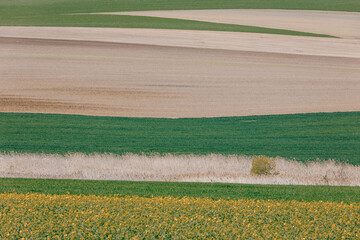 Obraz premium Beautiful spring rural landscape with plowed field curves and wheat grain. Rural landscape. Spring landscape. Beautiful countryside curve. Rural background. Abstract color curves