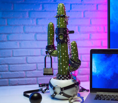 Cactus Dressed Up In Accessories For Bdsm Games On The Table Next To The TV And Laptop In Neon Light