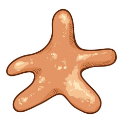 Vector Cartoon Starfish Illustration