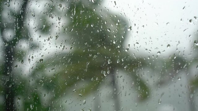 Palm trees under heavy rain and very strong wind. Shot through a rain-drenched window. Tropical storm concept