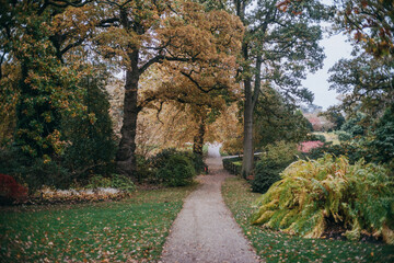 footpath in the autumn park