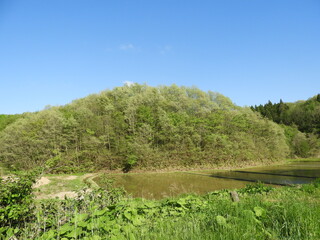 Obraz premium 里山風景