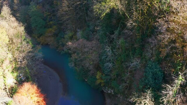 Khosta river at autumn. Flight over the river of Khosta in Caucasus Mountains during autumn sunny day. Yew and Boxwood Grove in Russia