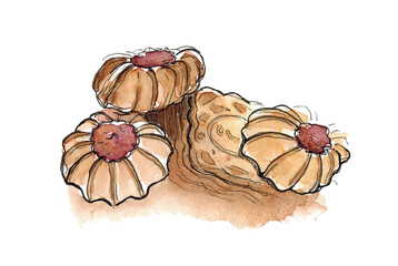 Watercolor sketch illustration of cookies isolated on white