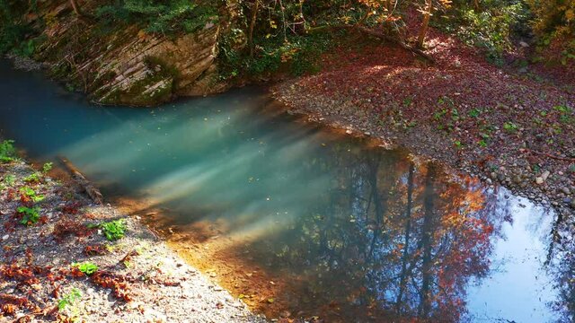 Khosta river at autumn. Flight over the river of Khosta in Caucasus Mountains during autumn sunny day. Yew and Boxwood Grove in Russia