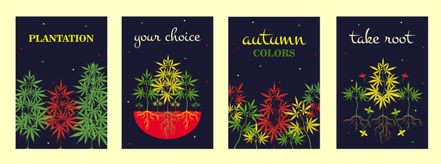 Colorful cannabis posters design with grass, roots and leaves. Dark brochure for marihuana smoking shop. Hemp and legal drug concept. Template for promotional leaflet or flyer