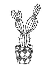 Hand drawn illustration cactus large