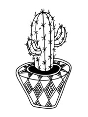 Hand drawn illustration cactus