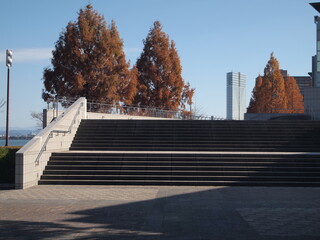 なぎさ公園のモニュメントとメタセコイア