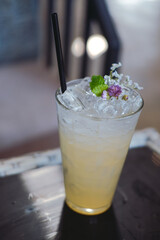 homemade lemon ginger kombucha soda probiotic beverage drink
