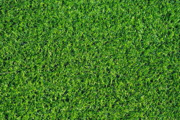 Fototapeta premium Green grass background, football field 